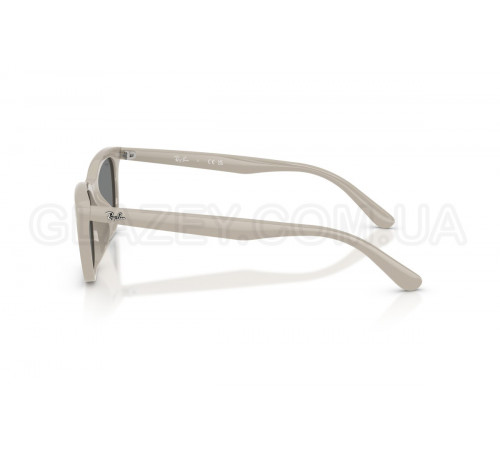Сонцезахисні окуляри Ray-Ban RB 4474D 685887