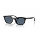 Сонцезахисні окуляри Ray-Ban RB 4474D 901/2V